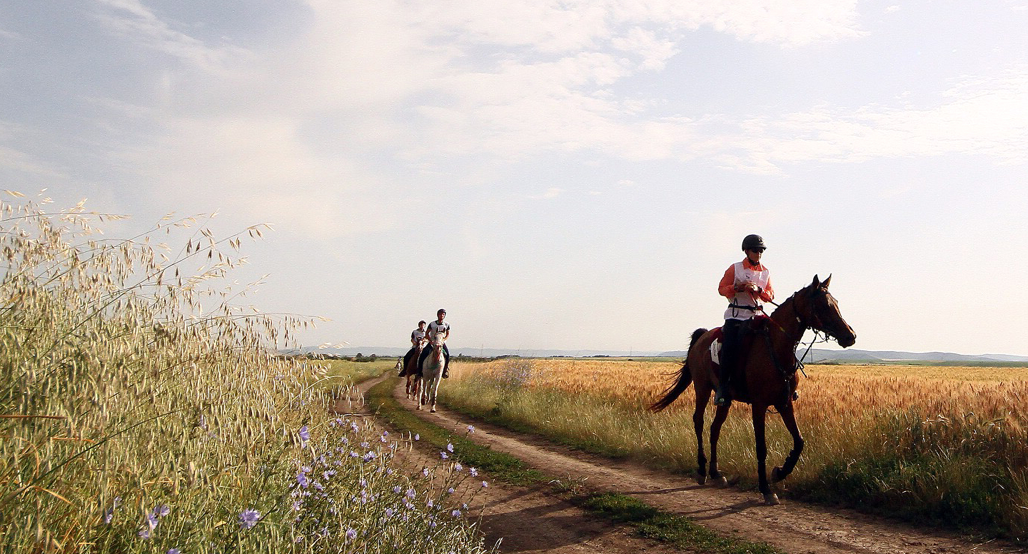 Via Transilvanica - VT Equestra