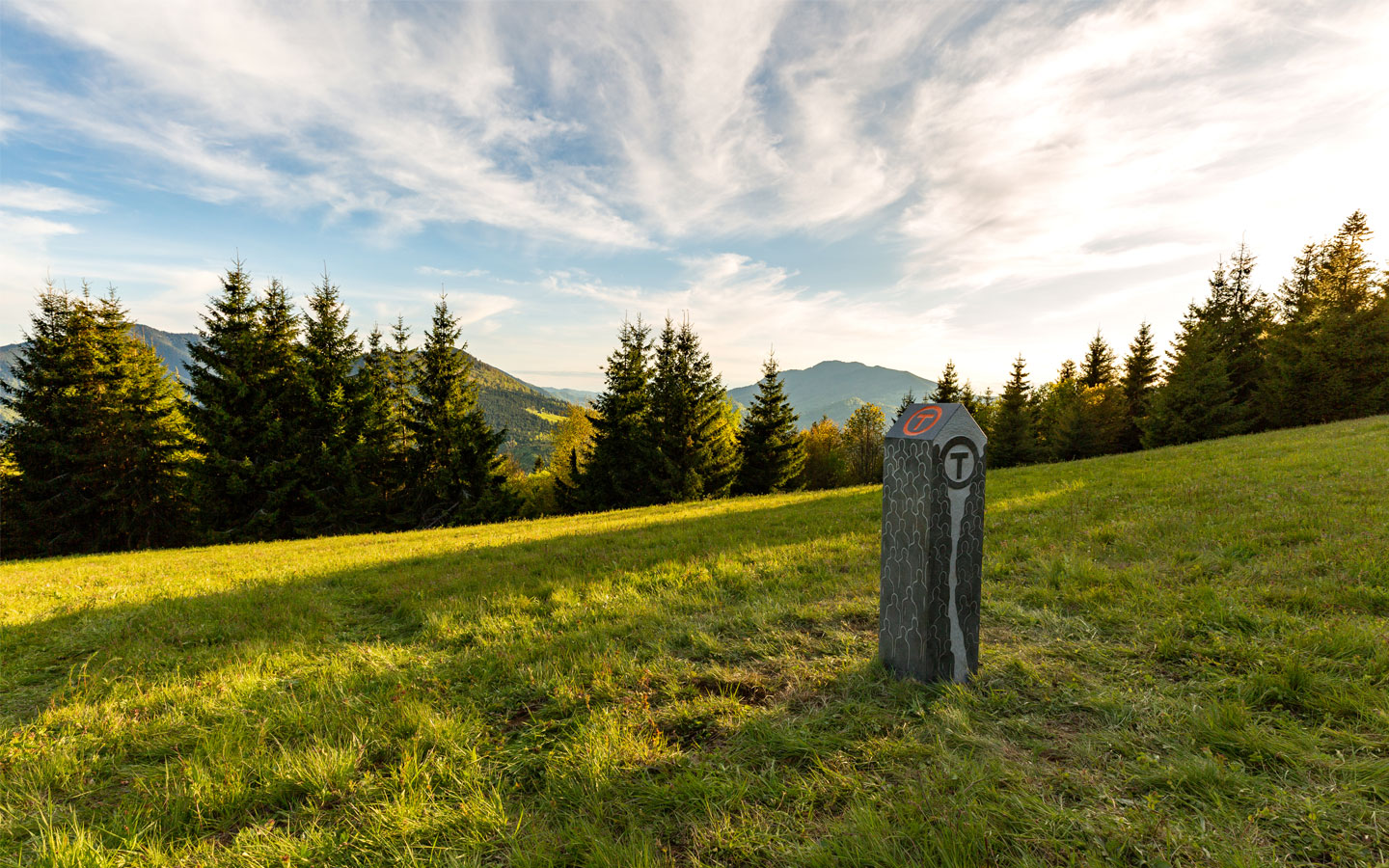 Via Transilvanica - Devino membru