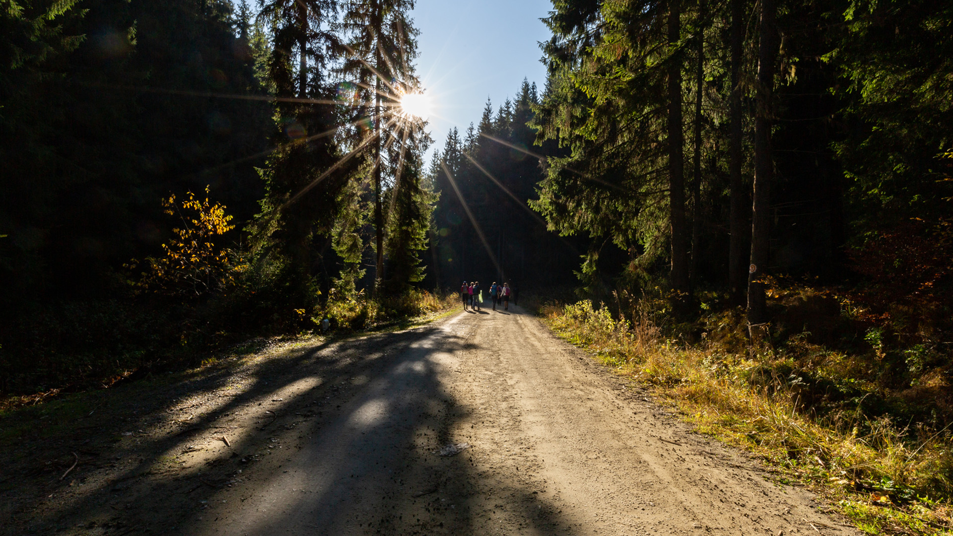 Via Transilvanica - Hikers 1400KM+