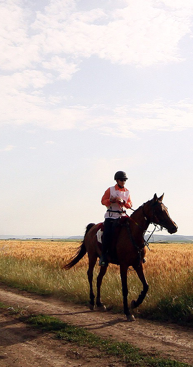 Via Transilvanica - VT Equestra