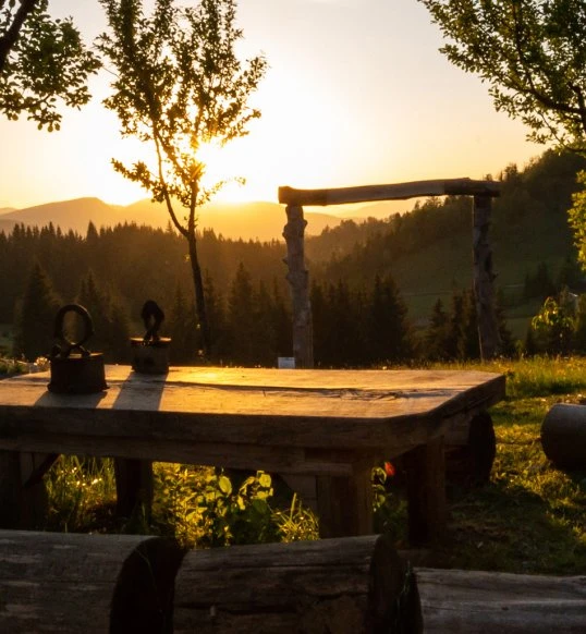 About us