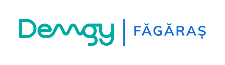 demgy.com
