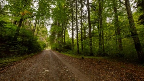 Putna - Sucevița (Varianta A)