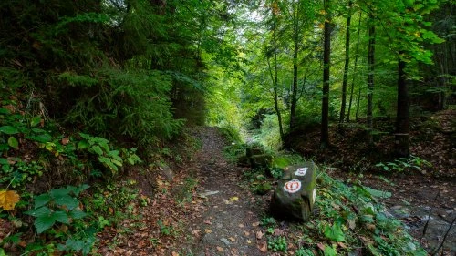 Putna - Sucevița (Varianta A)