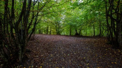 Dorolea - Bistrița (Varianta A)