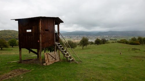 Dorolea - Bistrița (Varianta A)