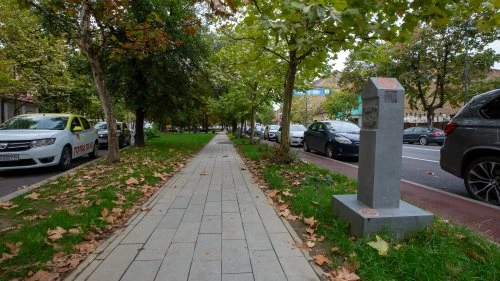 Dorolea - Bistrița (Varianta A)