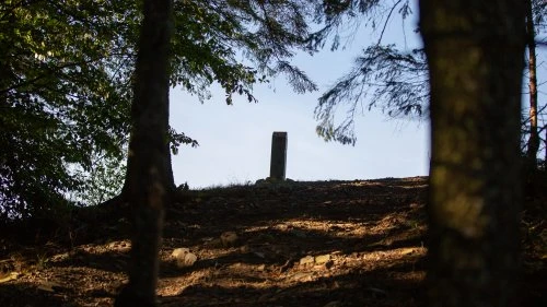 Sucevița - Vatra Moldoviței