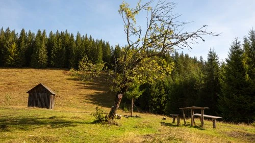 Sucevița - Vatra Moldoviței