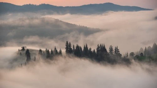 Sucevița - Vatra Moldoviței