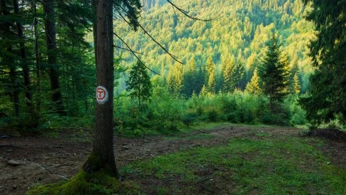 Sucevița - Vatra Moldoviței