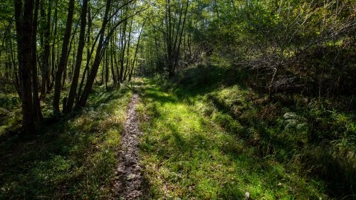 Sovata - Praid