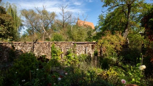 Saschiz - Șapartoc
