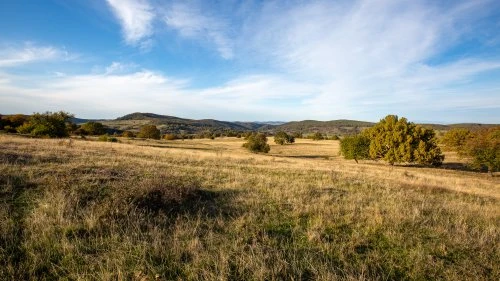 Saschiz - Șapartoc