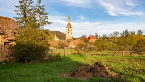 Saschiz - Șapartoc