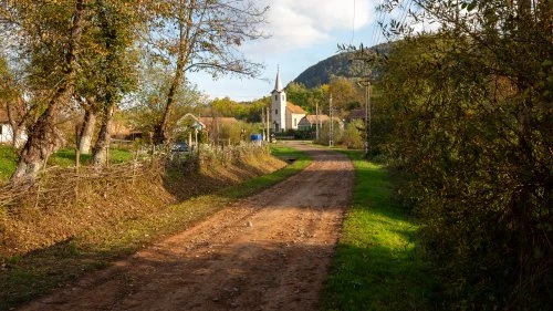 Saschiz - Șapartoc