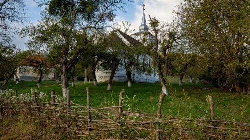 Șapartoc - Stejărenii