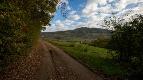 Șapartoc - Stejărenii