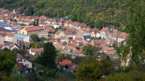 Șapartoc - Stejărenii