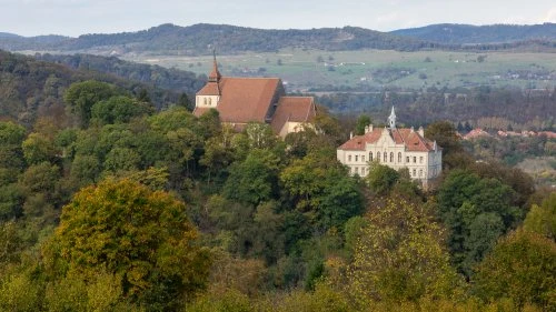 Șapartoc - Stejărenii