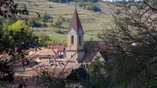 Șapartoc - Stejărenii