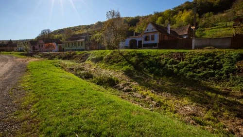 Stejărenii - Mălâncrav