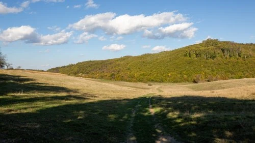 Stejărenii - Mălâncrav