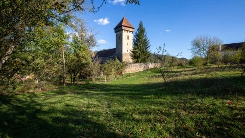 Stejărenii - Mălâncrav