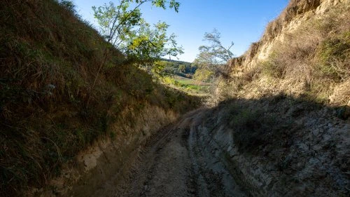 Mălâncrav - Biertan