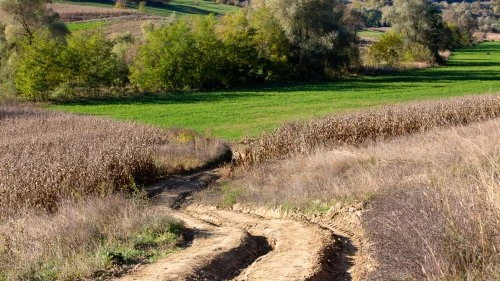 Mălâncrav - Biertan