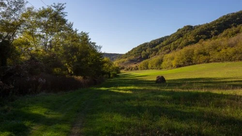 Mălâncrav - Biertan