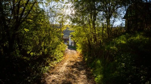 Mălâncrav - Biertan