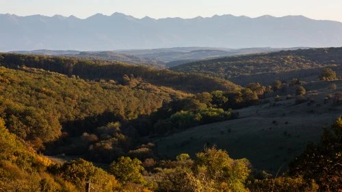 Mălâncrav - Biertan