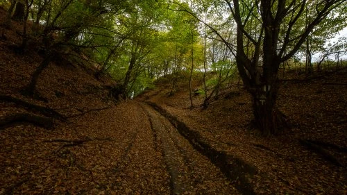 Mălâncrav - Biertan