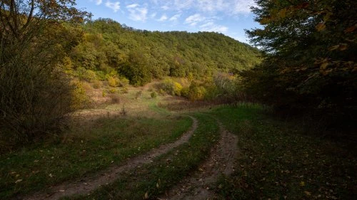 Mălâncrav - Biertan