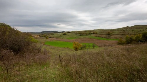 Biertan - Nemșa