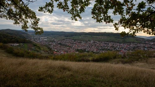 Nemșa - Mediaș