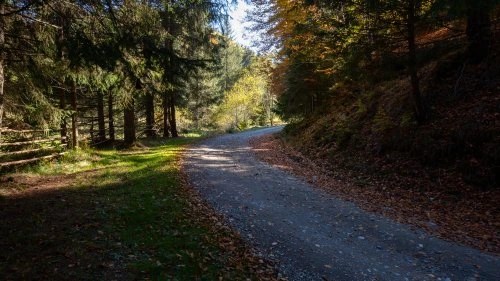Măgureni - Sarmizegetusa Regia