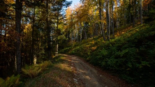 Măgureni - Sarmizegetusa Regia