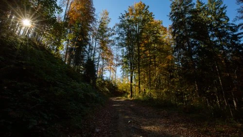 Măgureni - Sarmizegetusa Regia