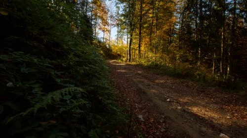 Măgureni - Sarmizegetusa Regia