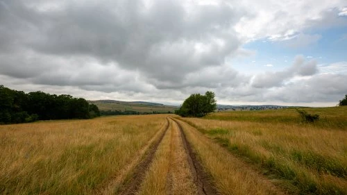 Cobor - Hălmeag