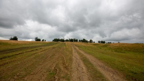 Cobor - Hălmeag
