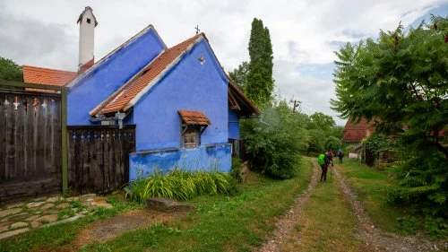 Cobor - Hălmeag