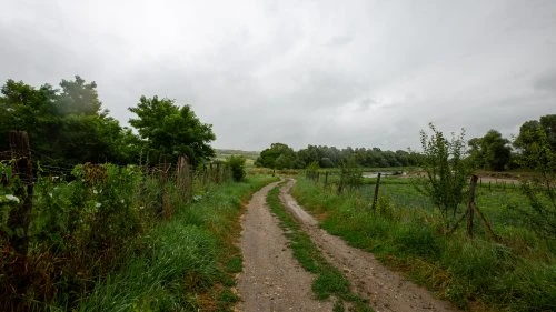 Cobor - Hălmeag
