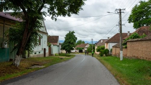 Cobor - Hălmeag