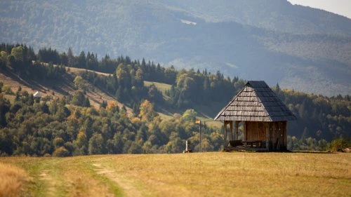 Lunca Ilvei - Tășuleasa Social (Varianta A)