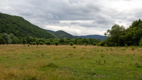 Hălmeag - Șinca Nouă