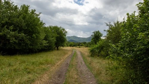 Hălmeag - Șinca Nouă