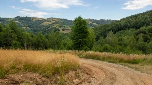 Șinca Nouă - Poiana Mărului